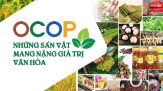 OCOP tạo không gian phát triển kinh tế cho khu vực nông thôn