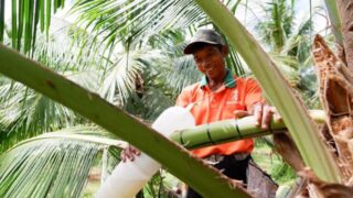 Thương mại điện tử là “đường đi” ngắn nhất để sản phẩm miền núi, vùng sâu vùng xa vươn ra thế giới