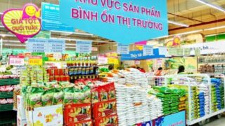 TP.HCM kích cầu đầu tư cho doanh nghiệp bình ổn thị trường