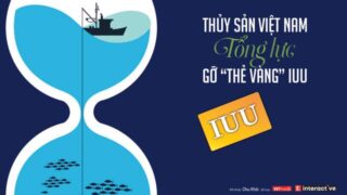 [Interactive]: Toàn cảnh ngành thủy sản Việt Nam nỗ lực gỡ “thẻ vàng” IUU