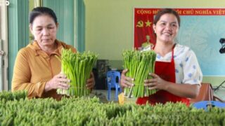 Chương trình Tự hào Nông dân Việt Nam 2024: Tôn vinh những nông dân có thành tích xuất sắc