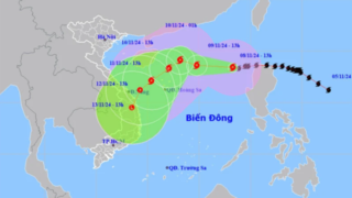 Miền Trung chuẩn bị “hứng” bão số 7