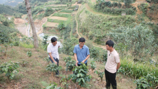 Tây Bắc phát triển nông nghiệp sinh thái – tuần hoàn