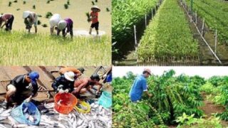 Bộ Nông nghiệp và Môi trường sẽ ban hành 58 thông tư trong năm 2025