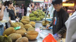 Đưa ngành hàng sầu riêng trở về “quỹ đạo” sản xuất và tiêu thụ bền vững