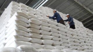 VCCI: Quy định Dự thảo về kinh doanh xuất khẩu gạo còn mang tư duy “không quản được thì cấm”