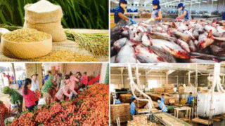 Thủ tướng yêu cầu thực hiện các giải pháp tiêu thụ và xuất khẩu nông sản