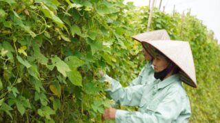 Chương trình CSI 2025: Khuyến khích doanh nghiệp đi từ “tuân thủ” lên “đổi mới sáng tạo” trong kinh doanh bền vững